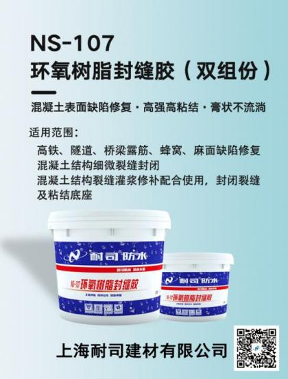 NS-107環(huán)氧封縫膠